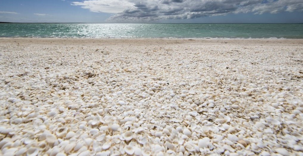 Shell Beach, Australia